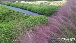 함평 주포권역 다목적센터 관광 명소로 급부상