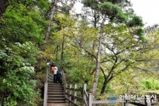 걷기만 해도 힐링이 섬진강 도깨비마을