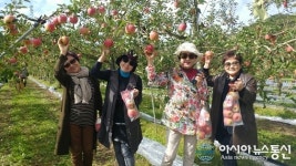 보은군농기센터, 2017 도·농연대 농심나누기 행사 가져