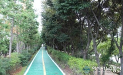 순천시, 2017년 녹색 우수도시 선정