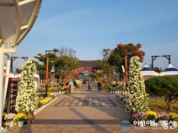 경산으로 가을국화 보러 오세요
