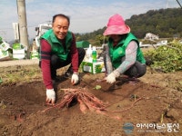 밀양시새마을회, 사랑의 고구마 경로당 전달