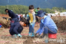 밀양연꽃단지에서 연근캐는 엄마와 아들
