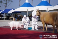 경상남도, AI·구제역 가상방역 현장훈련(CPX) 실시