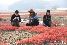 안산드림TV 시민기자단, 대부도에서 워크숍 갖고 갯벌 체험