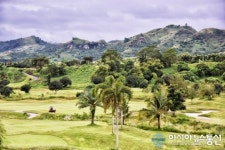 한국인들이 선호하는 클락 FA코리아C.C