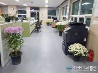 합천 적중우체국 강병찬 씨, 10여년 동안 국화 기증
