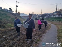 충주 봉방동, 충주천변 유채꽃씨 파종