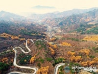갈 길 재촉하는 영동 도마령의 만추 절경 중 절경