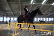 충남 유일 직영운영 홍성군승마장 발길 줄이어