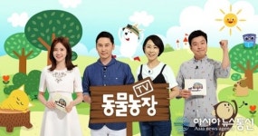 ‘TV동물농장’ 행복이, 세상과 담 쌓은 채 컨테이너 밑에서 살아가고 있는 이유는?
