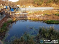 예천군, 온천 입구에 인공습지 조성