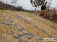 경상남도, 가뭄 심각..계곡 마르고 소류지 바닥 드러내