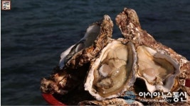 ‘서민갑부’ 통영 굴 양식으로 50억 자산가 된 한기덕 씨