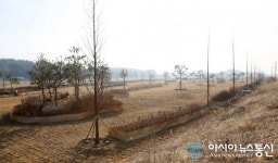 서산시, 청지천 고향의 강 정비사업 준공