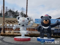 평창역·진부(오대산)역 수호랑·반다비 FRP 조형물···평창동계올림픽 분위기 조성 박차