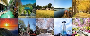 시민이 뽑은 아산 관광 10선 선정…곡교천 은행나무길 등