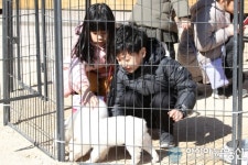 경주 교촌마을 문화체험으로 피로 싹~