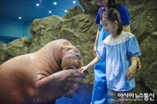 VIP 투어 패키지 세희의 하루 론칭하는 한화 아쿠아플라넷 일산