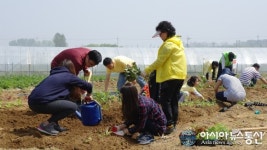 평택 웃다리문화촌, 주말농장 분양