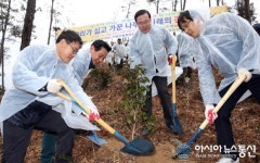 숲 속의 전남, 올해 1천만 그루 나무 심기 시동