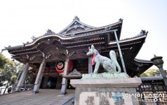 일본 이색 여우신사 도요카와이나리