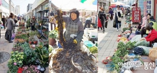새 봄향으로 가득한 울진 전통시장