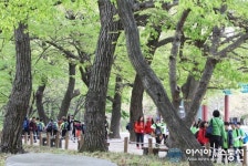 함께 누리는 복지 관광지 함양 상림으로 오세요