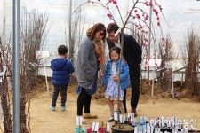 [포토]세종시 조경수묘목축제..어느 꽃이 맘에 들어
