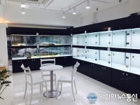 강아지, 고양이분양 이젠 허가된 곳에서만 받을 수 있다- 체계화된 프렌차이즈 펫샵 요미독앤캣 분당점