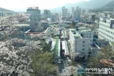 ‘제56회 진해군항제’, 진해 중원로터리 일원