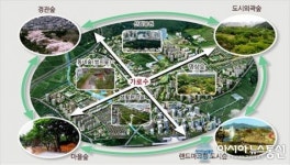 경북도, 미세먼지 저감..도시 숲 조성 215억 투입