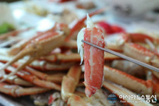 속초 횟집 ‘게 먹고 비치횟집’, 봄철맛집 탐방지로 인기