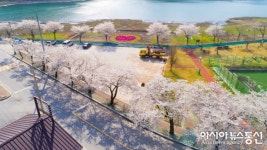 단양군 ‘벚꽃엔딩’ 명소 단성면