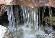 밀양 얼음골 결빙지 고드름이 주렁주렁 장관