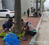 (포토)충주 애향로, 봄꽃 ‘새 단장’