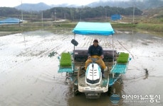 순창군 풍산면 첫 모내기 시작