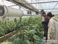 함평군, 영농철 농업현장 기술지원단 본격 운영