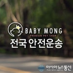 애견 분양 운송 시스템, 집에서도 베이비몽 강아지를 만날 수 있다