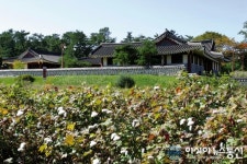 산청군, 목면시배 유지 체험 프로그램 운영