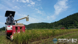 진도군, 논 타작물 재배 지원 사업 추진…쌀 수급 안정 박차