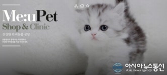 대구 고양이, 강아지 분양 ‘미유펫 애견샵’, 가정의 달 최대 70% 할인 이벤트 진행