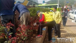 진해구 태평동, 진해시외버스터미널 주변 ‘스마일 화단’ 조성