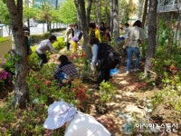 진해구 석동, 사계절 꽃피는 도심 조성