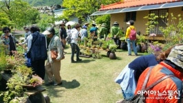 경주시 다봉마을, 야생화 잔치 연다