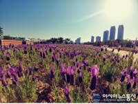 울산 태화강대공원 향기정원으로 오세요