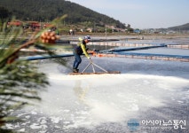 태안 송화소금 본격 생산