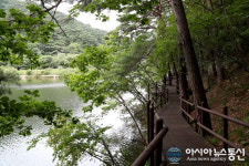 보은군, 한국관광공사 주관 5월 걷기여행길 에 오리숲길＆세조길 선정