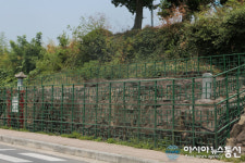 의령 서동리 빗방울 자국 천연기념물 지정 50주년 기념