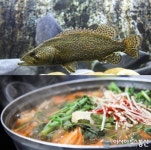 국내산 생물쏘가리만 취급하는 30년 전통의 단양 맛집 ‘그집쏘가리’